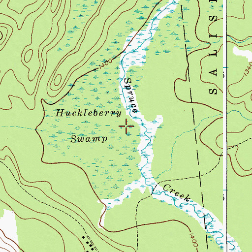 Topographic Map of Huckleberry Swamp, NY
