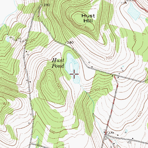 Topographic Map of Hust Pond, NY