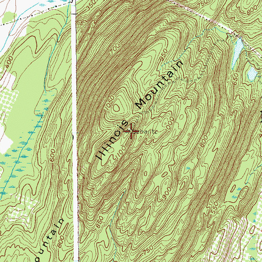 Topographic Map of Illinois Mountain, NY