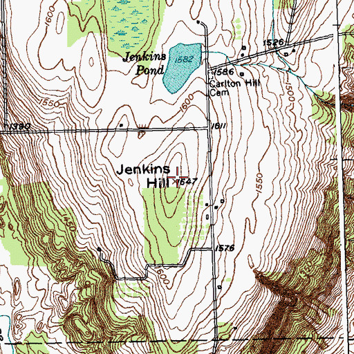 Topographic Map of Jenkins Hill, NY