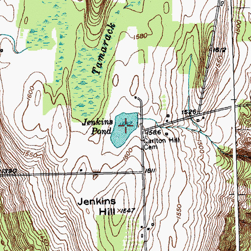 Topographic Map of Jenkins Pond, NY