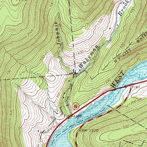 Topographic Map of Johnnie Brook, NY