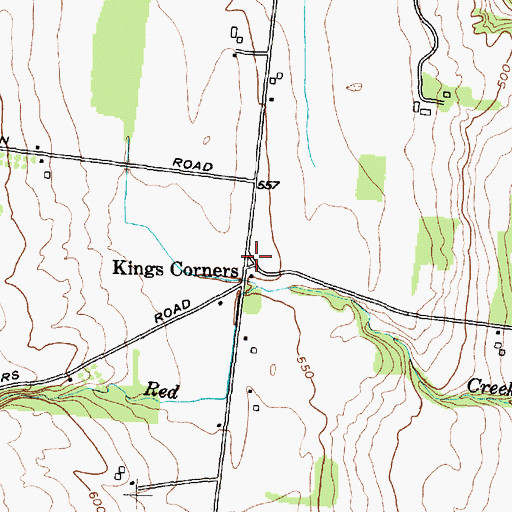 Topographic Map of Kings Corners, NY