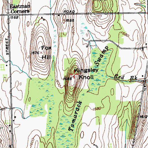 Topographic Map of Kingsley Knoll, NY