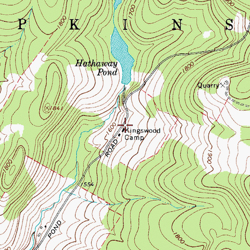 Topographic Map of Kingswood Camp, NY