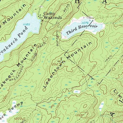 Topographic Map of Ladentown Mountain, NY
