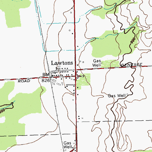 Topographic Map of Lawtons, NY
