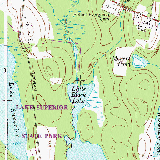 Topographic Map of Lemons Brook, NY