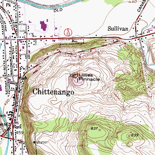 Topographic Map of Lillies Pinnacle, NY