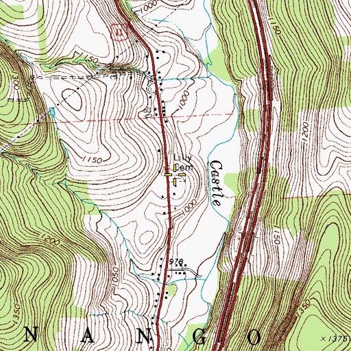 Topographic Map of Lilly Cemetery, NY