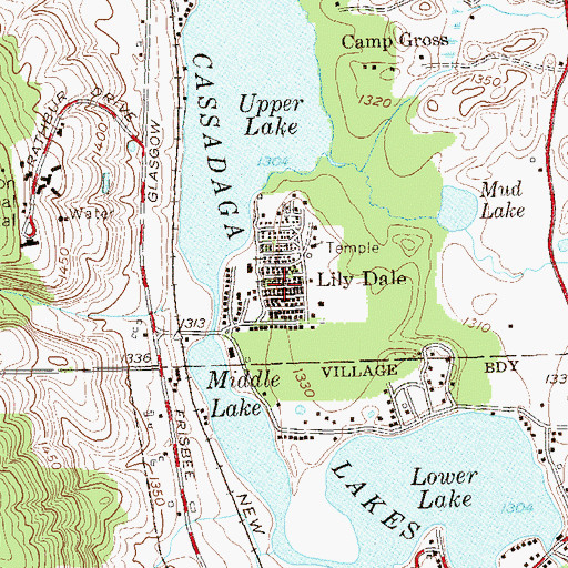 Topographic Map of Lily Dale, NY