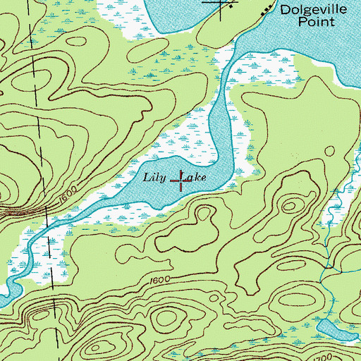 Topographic Map of Lily Lake, NY