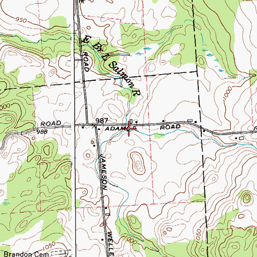 Topographic Map of Limekiln Brook, NY