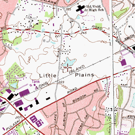 Topographic Map of Little Plains, NY
