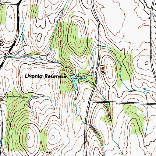 Topographic Map of Livonia Reservoir, NY