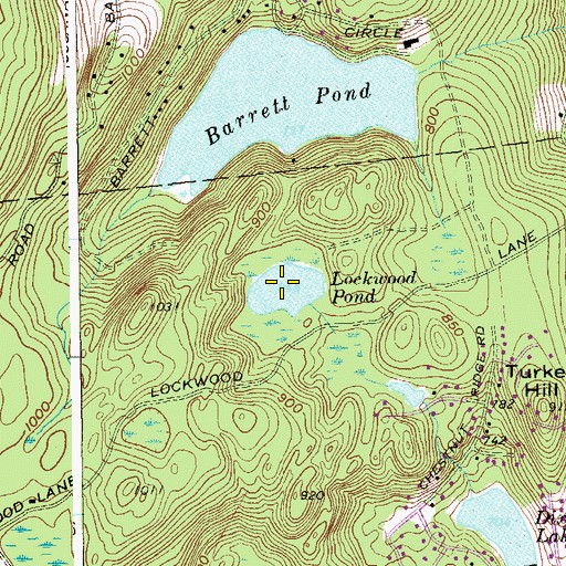 Topographic Map of Lockwood Pond, NY