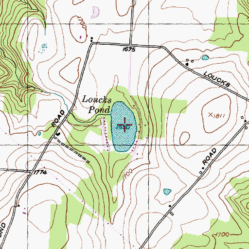 Topographic Map of Loucks Pond, NY
