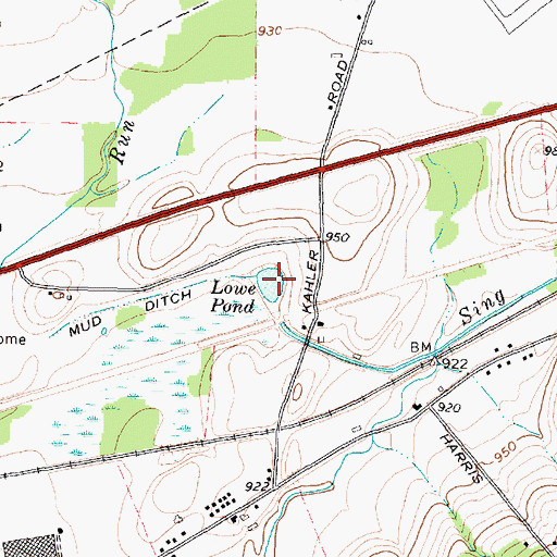 Topographic Map of Lowe Pond, NY