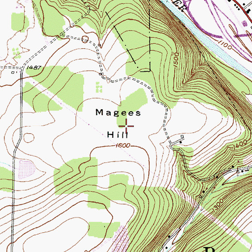 Topographic Map of Magees Hill, NY