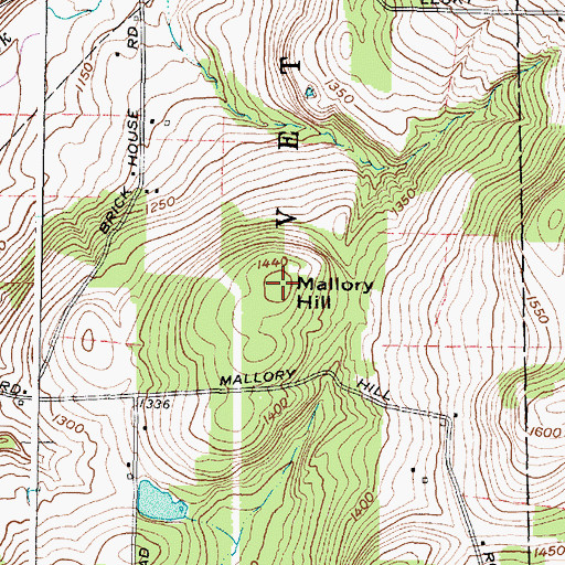 Topographic Map of Mallory Hill, NY