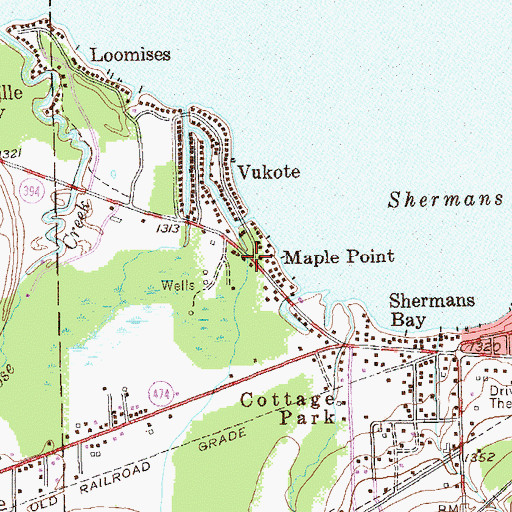 Topographic Map of Maple Point, NY
