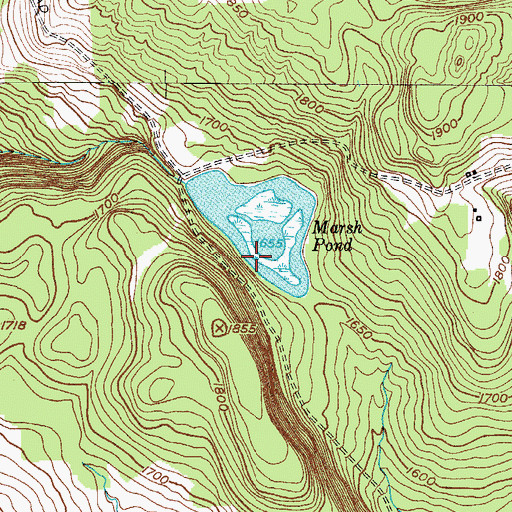 Topographic Map of Marsh Pond, NY