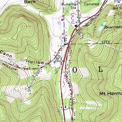 Topographic Map of Mc Cann Hollow, NY