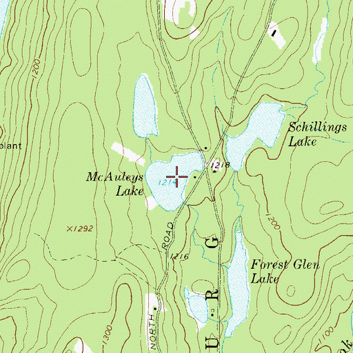 Topographic Map of McAuleys Lake, NY