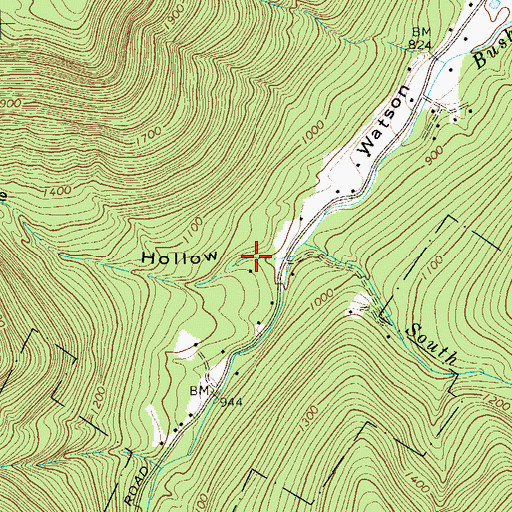 Topographic Map of Mine Hollow, NY