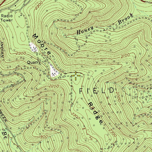 Topographic Map of Moore Ridge, NY