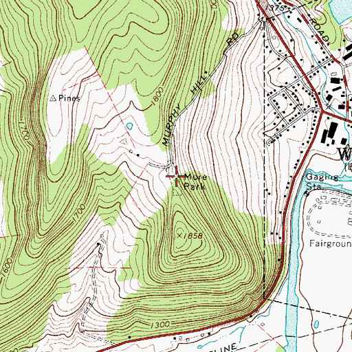 Topographic Map of More Park, NY