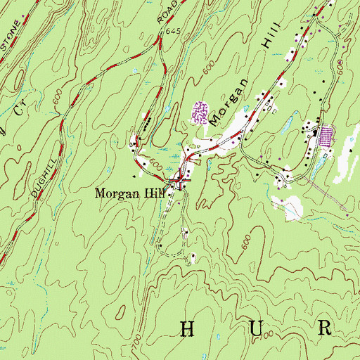 Topographic Map of Morgan Hill, NY