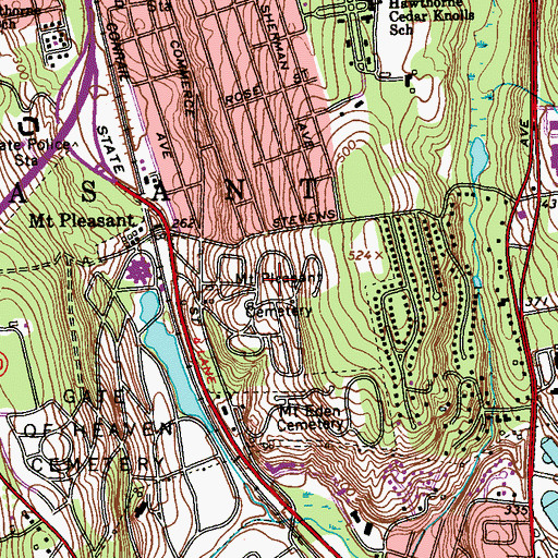 Topographic Map of Mount Pleasant Cemetery, NY