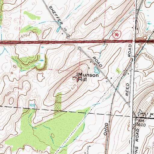 Topographic Map of Munson Hill, NY