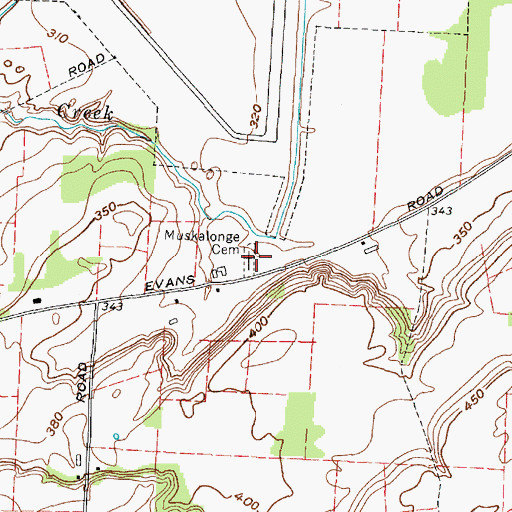 Topographic Map of Muskalonge Cemetery, NY