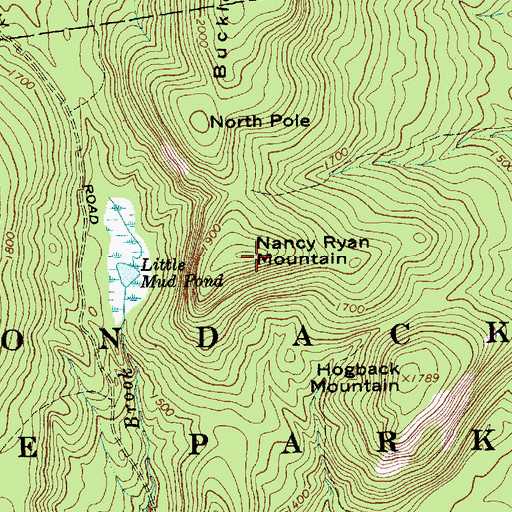 Topographic Map of Nancy Ryan Mountain, NY