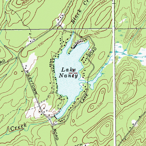 Topographic Map of Lake Nancy, NY