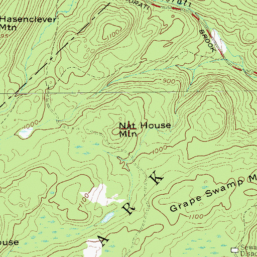 Topographic Map of Nat House Mountain, NY