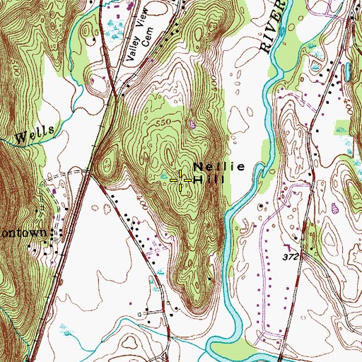 Topographic Map of Nellie Hill, NY