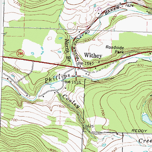 Topographic Map of North Branch Phillips Creek, NY
