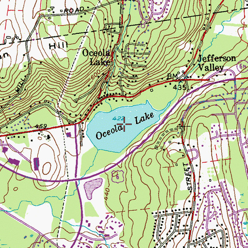 Topographic Map of Oceola Lake, NY