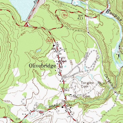 Topographic Map of Olivebridge, NY