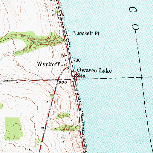 Topographic Map of Owasco Lake Station, NY