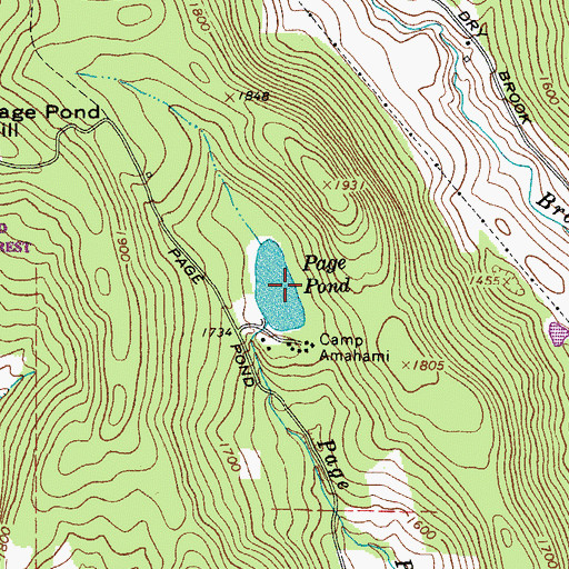 Topographic Map of Page Pond, NY