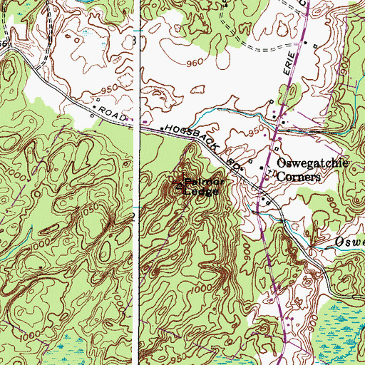 Topographic Map of Palmer Ledge, NY