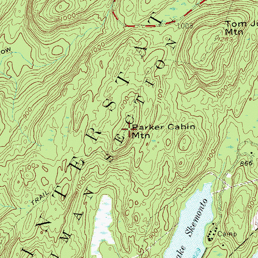Topographic Map of Parker Cabin Mountain, NY