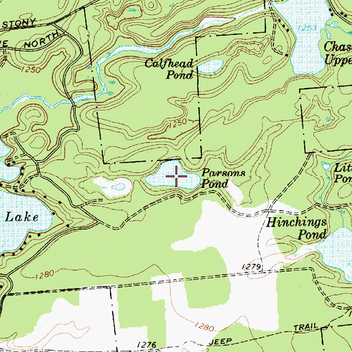Topographic Map of Parsons Pond, NY
