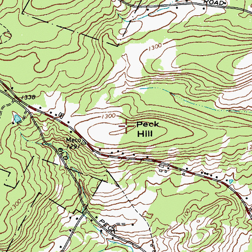 Topographic Map of Peck Hill, NY