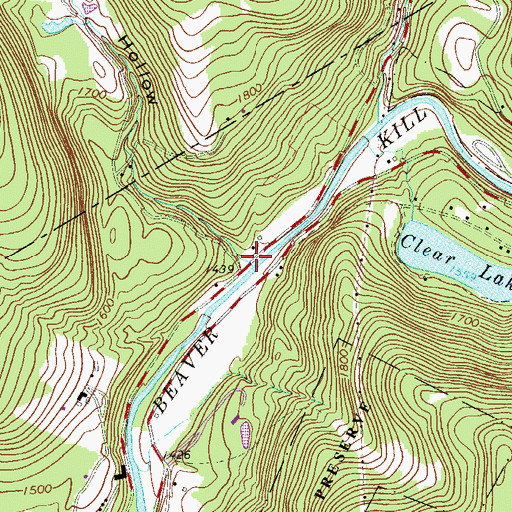 Topographic Map of Pelnor Hollow, NY