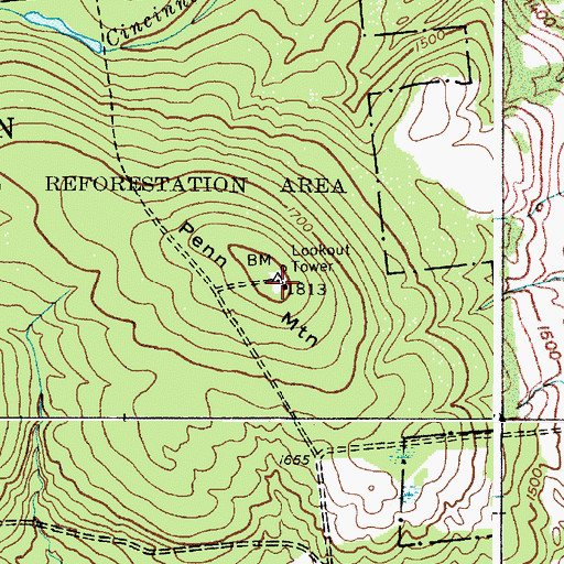 Topographic Map of Penn Mountain, NY